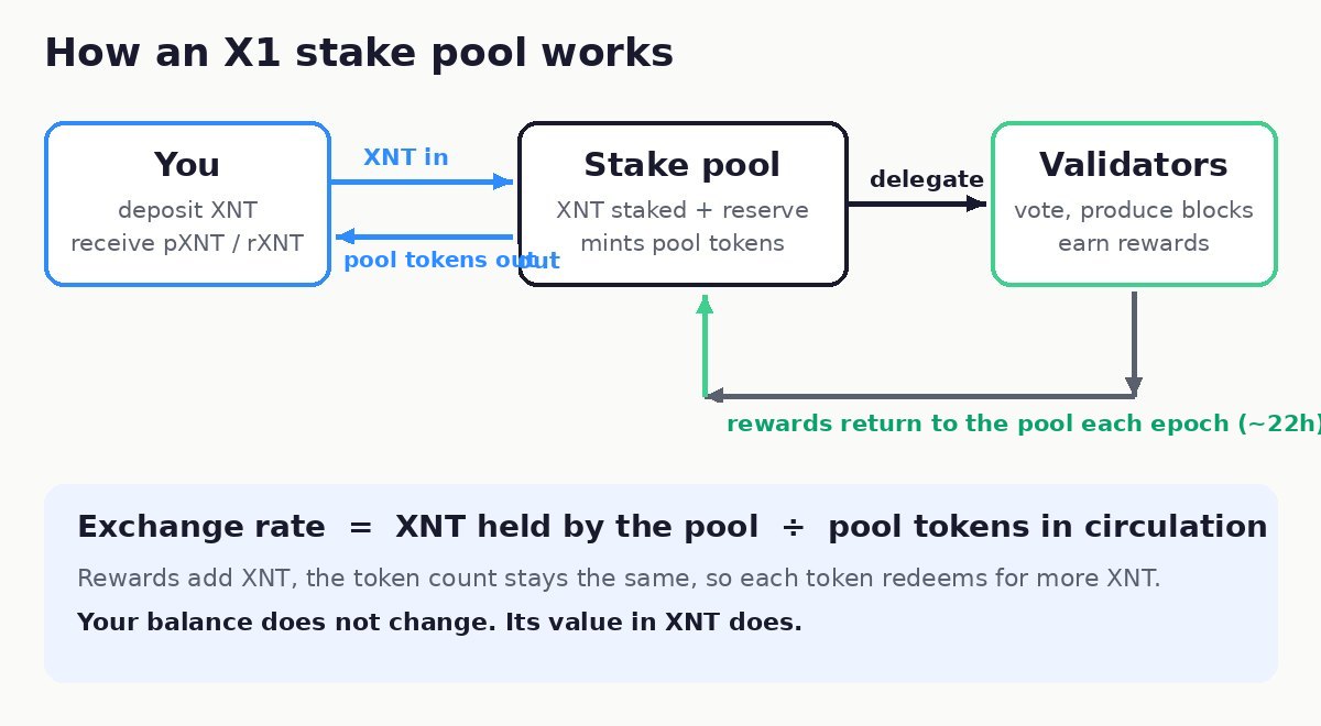 Diagram of an X1 stake pool: you deposit XNT and receive pool tokens, the pool delegates to validators, rewards flow back each epoch, and the exchange rate equals XNT held divided by tokens in circulation