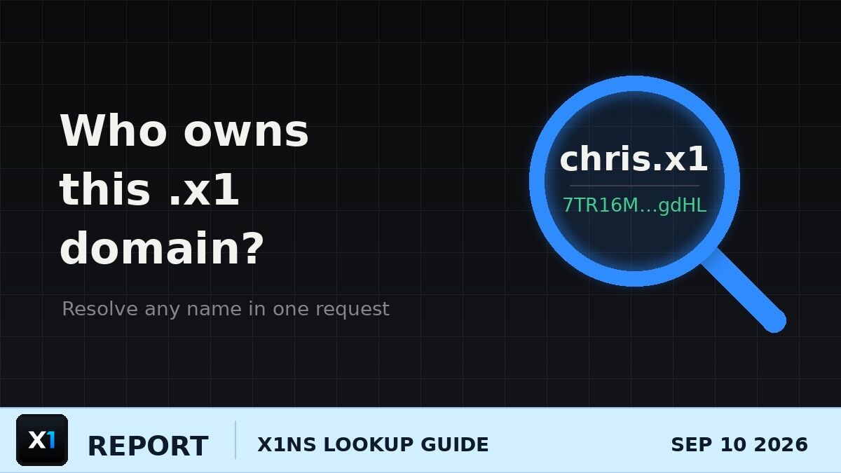 X1NS Lookup: How to Find Who Owns a .x1 Domain